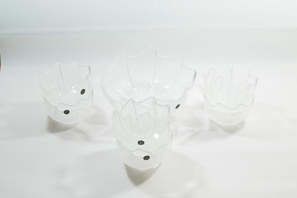 Rosenthal studio-linie Glasschüssel mit 6 Schälchen